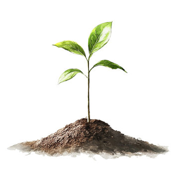 Watercolor of a plant on transparent background. Generative ai.