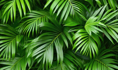 Lush green palm fronds create a dense, tropical backdrop.