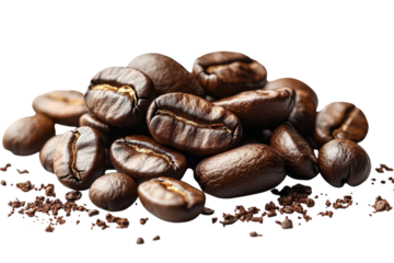 Freshly roasted coffee beans displayed on a clean surface ready for brewing and savoring