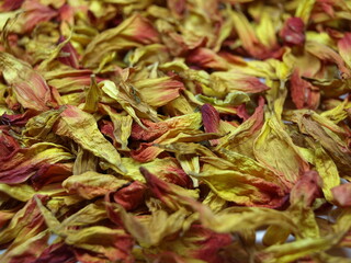 Dried flower petals in vibrant colors, textured and natural, perfect for decoratio
