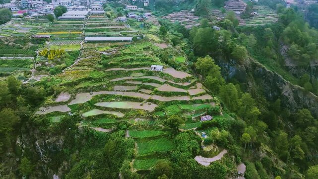 Aerial 4K, Northern Blossom Farm, Atok's Floral Paradise Revealed, Philippines
Discover  floral paradise of Atok, Benguet.  The footage captures the farm's breathtaking floral displays