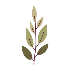 Leaves on a branch, colored. Cute illustration, vector, color, simple