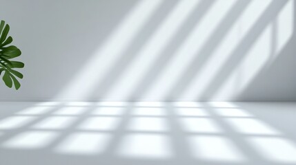 Serene Sunlight on Concrete: The image presents a captivating dance of light and shadow on a clean, minimal surface, enhanced by the delicate presence of a green leaf.