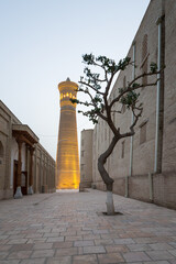 The Kalyan Minaret in Bukhara, Uzbekistan