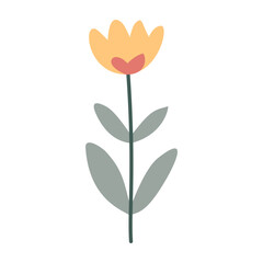 Flower. Cute illustration, vector, color, simple.