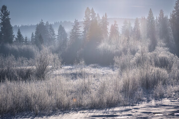 Beautiful landscape of frozen Bialka river at winter. Poland