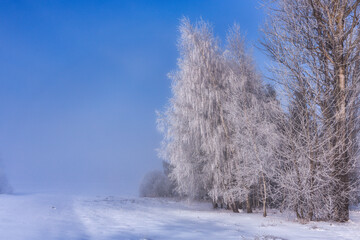 Beautiful landscape of the frozen meadow with trees in Podhale at winter. Poland