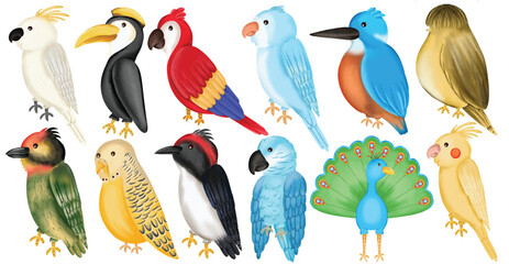 Watercolor Exotic Bird Illustration Set, Hand Paint, Cute, Parrot, Cockatoo, Toucan, Kingfisher, Woodpecker, Budgerigar, Peacock, Wildlife, Tropical, Colorful Feather, Nature