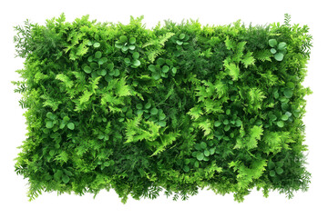 Naklejka premium Fresh green tea leaves on transparent background creating natural border