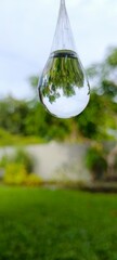 A single water droplet hangs, reflecting the garden in its clear surface.