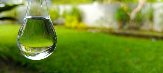 A single water droplet hangs, reflecting the garden in its clear surface.