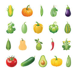 collection of fruit vegetables