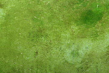  art background with light texture in green color