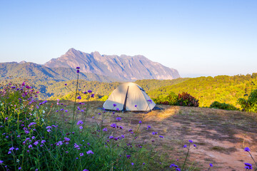 Camping tent on the camping ground in front of the Chiangdao mountain.  at "San Pa Kia" Chiangmai Thailand, Asia.
