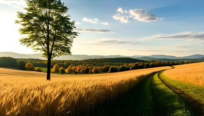 a serene landscape featuring a tree standing tall amidst a field of wheat and rolling hills, with a road leading to a distant town.