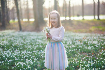 Cute preschooler girl in tutu skirt gathering snowdrop flowers in park or forest on a spring day. Little kid exploring nature. Outdoor activities for children.