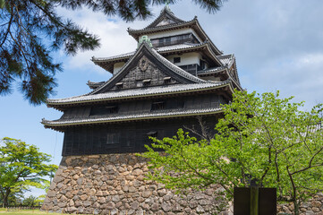 Fototapeta premium 松江城、島根県松江市