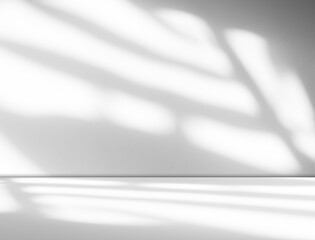 Shadow background wall kitchen floor grey white abstract studio concrete table white texture light...