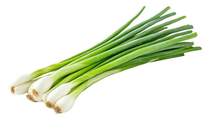 Crisp green onions with bright green stalks and fresh white bulbs are displayed against a clean, white background. Ideal for enhancing flavors in various recipes or salads