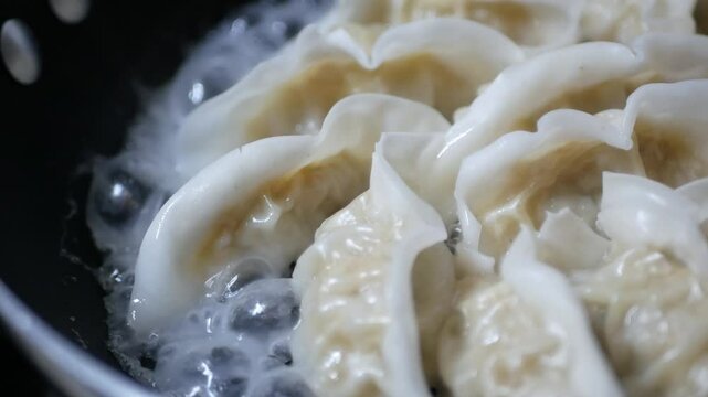 Close up of fried japanese gyoza dumplings in fry pan in homemade style at kitchen,cooking japanese food lifestyle.Cooking homamade chinese dumpling fried gyoza,Japanese cuisine concept.