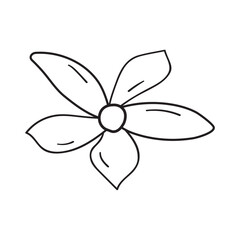 Vanilla flower. Outline icon. Vector illustration on white background.