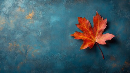 A vibrant autumn leaf rests on a textured teal painted surface