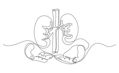 Continuous single line of  hand holding kidney human body organ anatomical for donor donation medical science. Sketch drawing editable stroke vector illustration