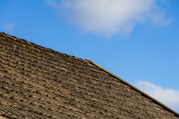 An old shed roof with weathered textures occupies the lower frame, contrasting with the upper half...