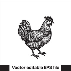 Vector minimalist chicken 