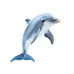 Fototapeta premium Smart and friendly dolphin resting mid motion