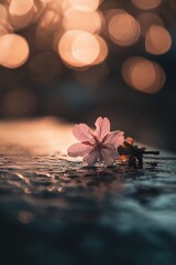 A single pink flower sits on top of a wooden table, perfect for use in still life photography or as a prop for any occasion