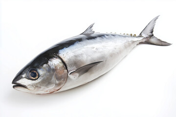 Naklejka premium Fresh tuna fish isolated on white background, Selective focus mackerel fish on white background.