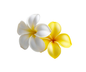 Naklejka premium Two yellow and white frangipani flower isolated png on transparent background