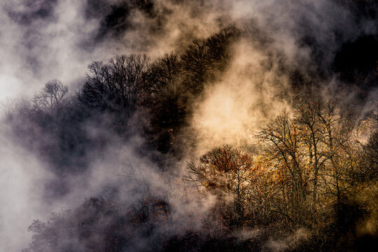 Backlit foggy landscape with interwinded mist in a forest in autumn