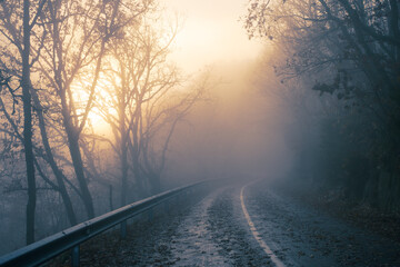 backlit foggy mountain road landscape in autumn surrounded by a chestnut forest