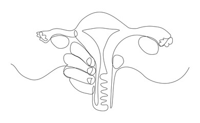 Continuous single line of hand holding uterus ovary cervix anatomy female reproductive organ sketch drawing editable stroke vector illustration