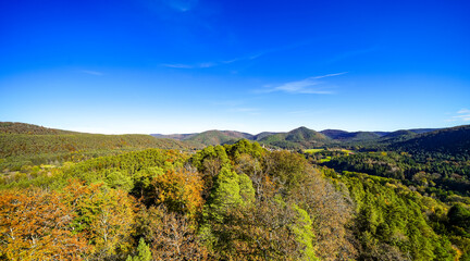 Fototapeta premium View from the Altdahn castle massif of the surrounding landscape with green forests. Nature at the medieval rock castle in the Palatinate region. 