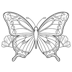 butterfly vector illustration coloring page 