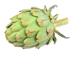 fresh artichoke isolated on white background
