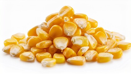 Fototapeta premium crisp high resolution image fresh corn seeds isolated on pure white perfect for fashion or culinary projects