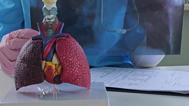 Lung and heart anatomy model presentation with medical analysis in a clinical setting
