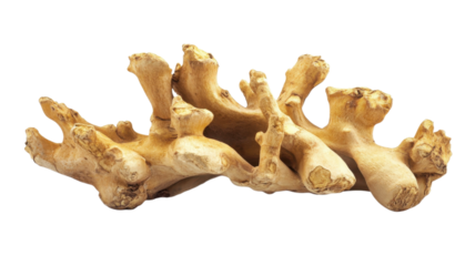 Unique organic centerpiece featuring an intricately shaped driftwood piece for home decor