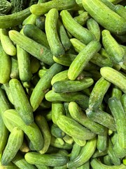 Fresh cucumbers in the market
