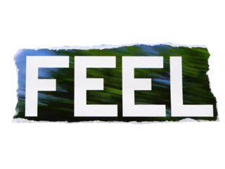 "FEEL" wording or text with pieces of torn or cut paper, design elements isolated on transparent background.