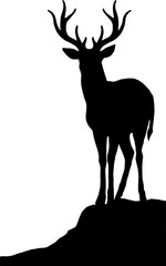 silhouette of deer