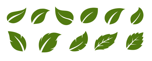Set of green leaf icons. Green color. Leafs green color icon logo. Leaves on white background. Ecology. Vector eps