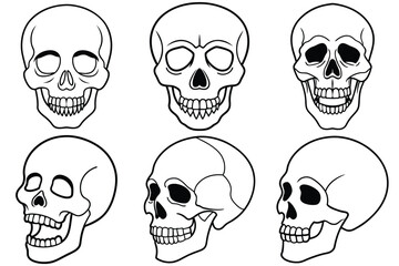 set of skulls, Skull Bundle