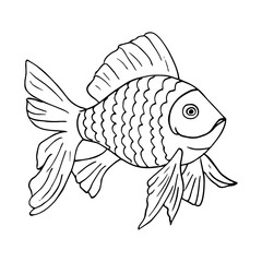 Gold Fish hand-drawn Isolated on White Background. Ocean, sea fish.