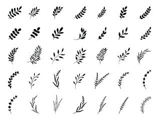 Simple summer, spring branches with leaves. Botanical elements. Floral branch set. Minimalist black silhouette. Flower logo design element. Elegant twig decoration set. Plant icons. Hand drawn black l
