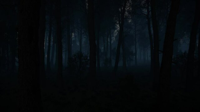 Scary Dark Forest, Woods Landscape